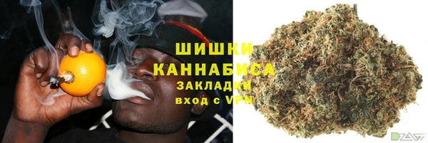 мдпв Майский